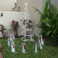 crooked X'mas tree in the community