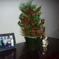 Lovely Christmas tree at home
