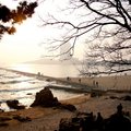 青島冬天的海灘 - 5