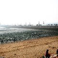 青島冬天的海灘 - 1