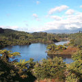 Mangamahoe湖畔美景4