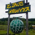 北海道富田農場~好大的哈密瓜