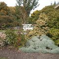 紐西蘭基督城植物園11