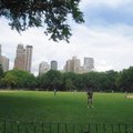 紐約中央公園~玩棒球