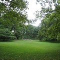 中央公園漂亮的厚綠草坪