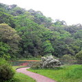 宜蘭福山植物園 - 水生植物池15