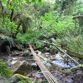 遄急的水流阻擋不了南山部落，依循著泰雅所傳承下來的生活智慧，幾根竹子，一些繩子就架設出簡便的通路。

