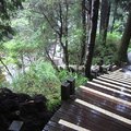 太平山國家森林遊樂區 - 原始森林公園4