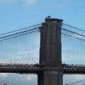 紐約布魯克林大橋13
