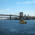 紐約布魯克林大橋10
