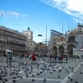 聖馬可廣場除了人潮鴿子也多到嚇人呢
