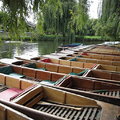 康河撐篙搭船碼頭，位於銀街橋的磨坊池，停放著許多等待出租的木製平底船