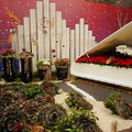 花之圓舞曲 - 觀花植物特展 (2010/11/27～2010/12/05)


