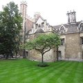 三一學院(Trinity College)是劍橋大學最大的學院，現於三一禮拜堂外，還有一棵從牛頓家鄉移植來的蘋果樹，以紀念這位萬有引力之父