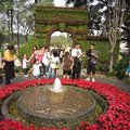 台北花博~上海庭園3