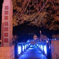 日月潭水社碼頭夜景10
