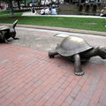 波士頓卡布里廣場 - 龜兔賽跑故事的雕像