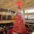 晶華飯店中庭的聖誕樹