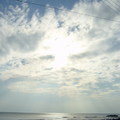萬里桐的海天