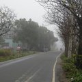 霧街