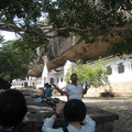 斯里蘭卡 菩提樹下講道