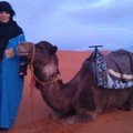 2012  1/21 ~ 2/3 Morocco 14 days - 1