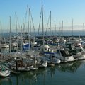 舊金山漁人碼頭裡停泊了幾百艘豪華遊艇