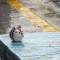遇水則發!在澎湖要遇到下大雨，應該不容易吧!
