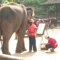 在畫畫的大象
