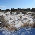 積雪的曠野