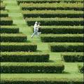 Strolling along : Two strollers walk past truncated hedges at a parc in Berlin. (AFP/DDP/MArcus Brandt)