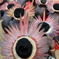 Members of Brazil's Assurini do Tocantins tribe, wearing their traditional 'Cokar' handmade with macaw feathers, gather at the II Indigenous Nations' Games of Para in Altamira, northern Brazil, August 18, 2005. REUTERS/Paulo Whitaker