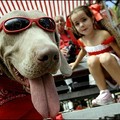 Gibraltarians celebrate Gibraltar National Day which marks the anniversary of a 1967 referendum when only 44 persons voted to join Spain. (AFP/Jose Luis Roca)