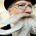 German Willi Chevalier, contestant in the category partial beard, freestyle, poses in Berlin, during the World Beard and Moustache Championships. (AFP/DDP/Marcus Brandt)