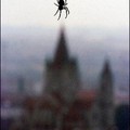 A spider spins a web along a window of the 17th floor at Ares tower with the Mexico church for a backdrop in Vienna's International Bussiness Centre. (AFP/Joe Klamar