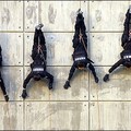 South Korean police SWAT members abseil down a wall during an anti-terrorism drill in Seoul. (AFP/Jung Yeon-Je)