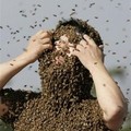 in Daegu, south of Seoul, Thursday, Oct. 20, 2005. Ahn, a local bee farmer, released over 260,000 bees and attracted them to his body to celebrate the opening of a new subway in his town. (AP Photo/ Lee Jin-man)