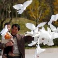 A man and a child feed doves in a scenic spot in Lianyungang, east China's Jiangsu province, November 8, 2005.
