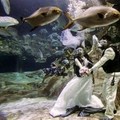 A couple of models participate in a promotion of underwater wedding package at Ocean park in Hong Kong Friday, Nov, 11, 2005.