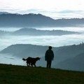 A man and a woman walk their dog along the mountain Schauinsland near Freiburg, southern Germany, on Sunday afternoon in the evening sun