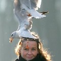 Anja Schildt watches seagulls