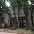 豌豆在華山藝文中心 - 3