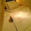 晚餐回房時,床上已放了一朵玫瑰花