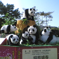 台北花燈-熊貓