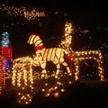 在加州Altadena市Hasting Ranch好幾條街道的房屋以不同主題精心的作聖誕燈光裝飾