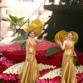 2010年在美國帕薩迪納市舉行的玫瑰花車遊行
