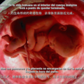 in mother's womb