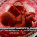 in mother's womb