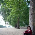 倫敦海德公園是我最喜歡的公園，在那兒，我愛上了法國梧桐。
