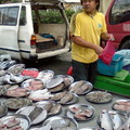 市場買魚